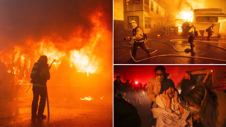 正是因为它 正是因为它